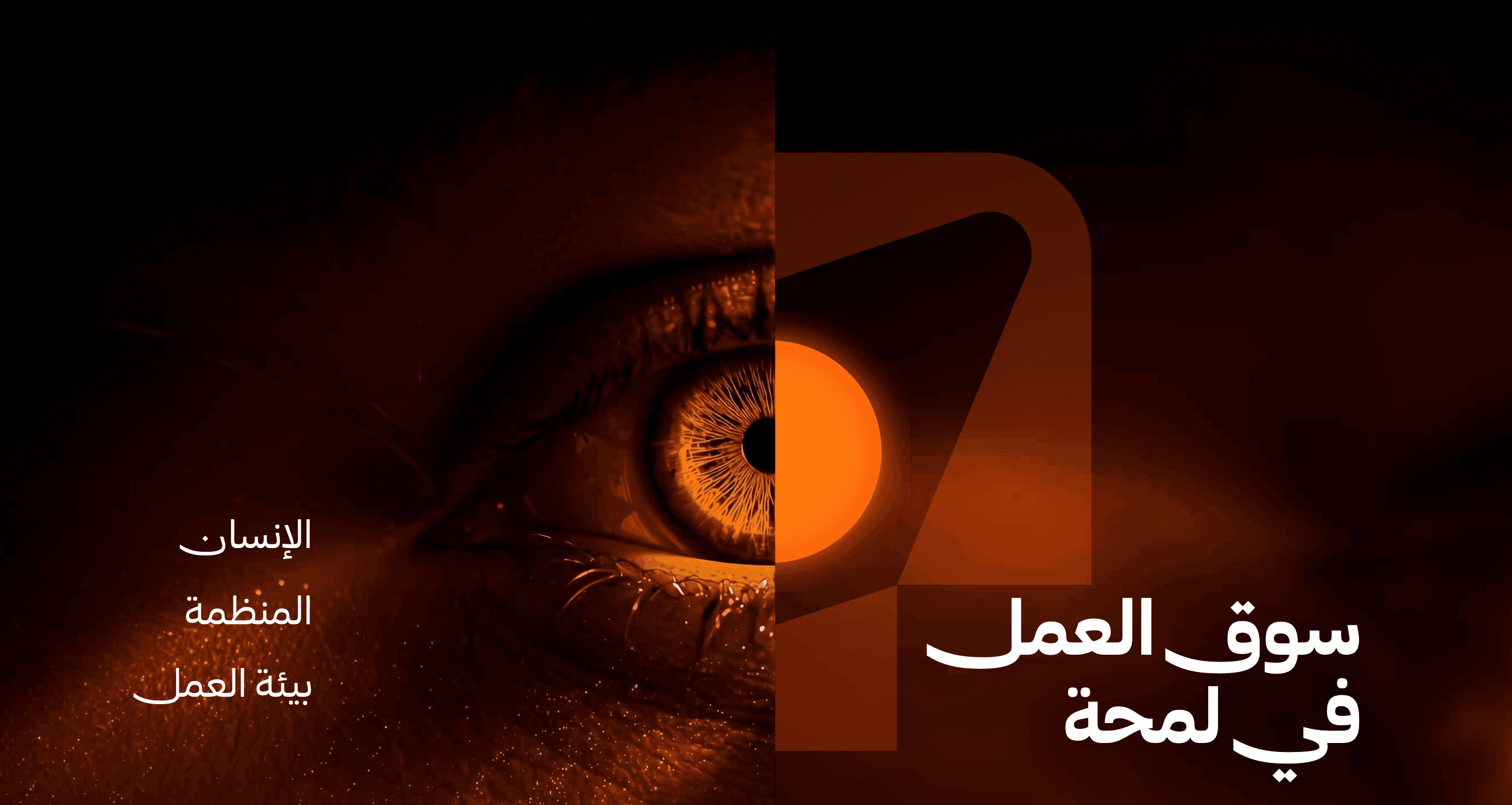 خلفية القسم الرئيسي