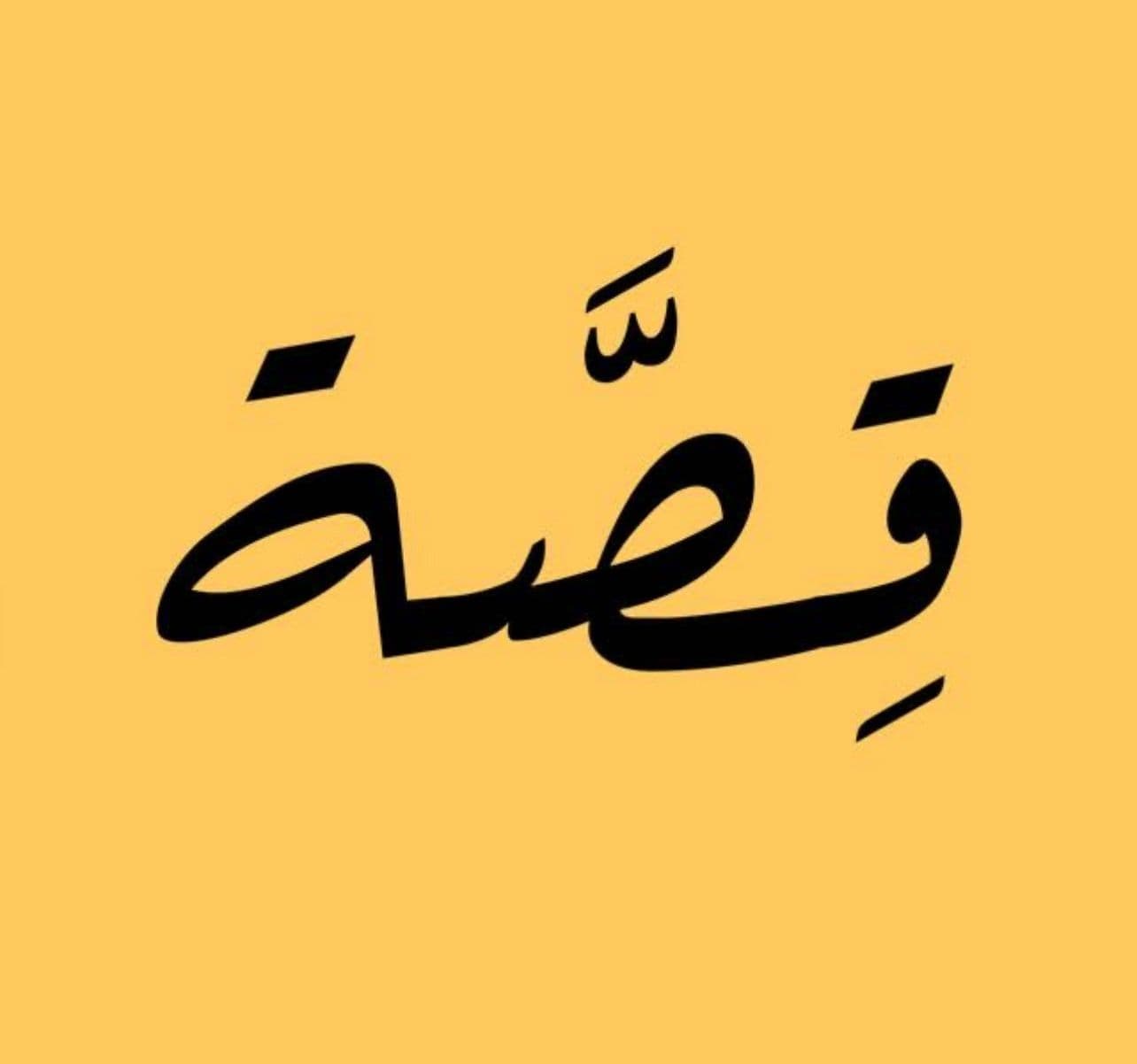 خلفية القسم الرئيسي