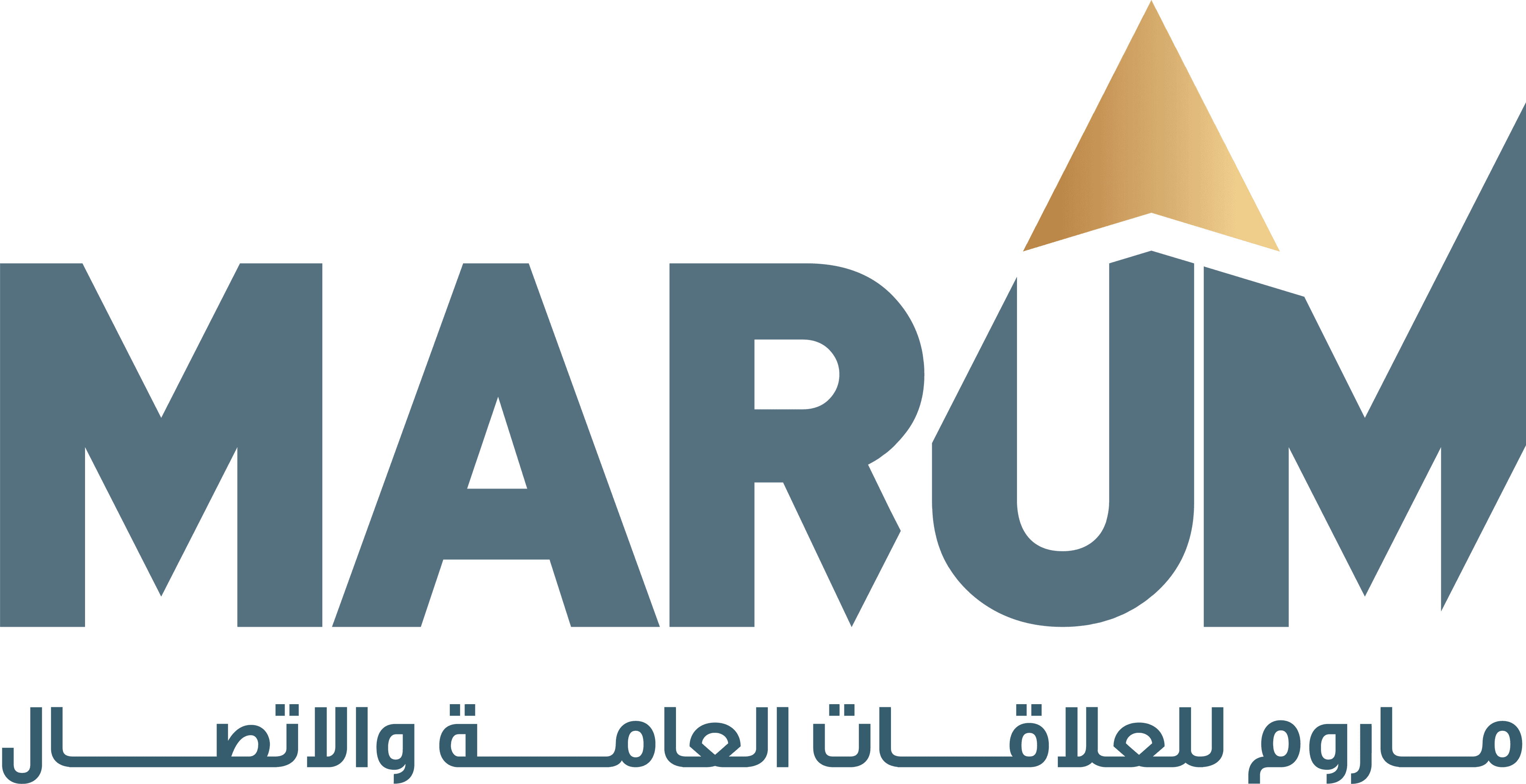 خلفية القسم الرئيسي
